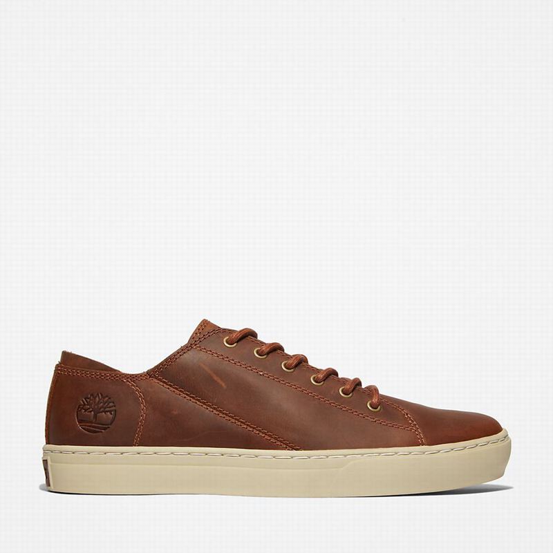 Timberland Adventure 2.0 Tenisice Smeđe | 78015852