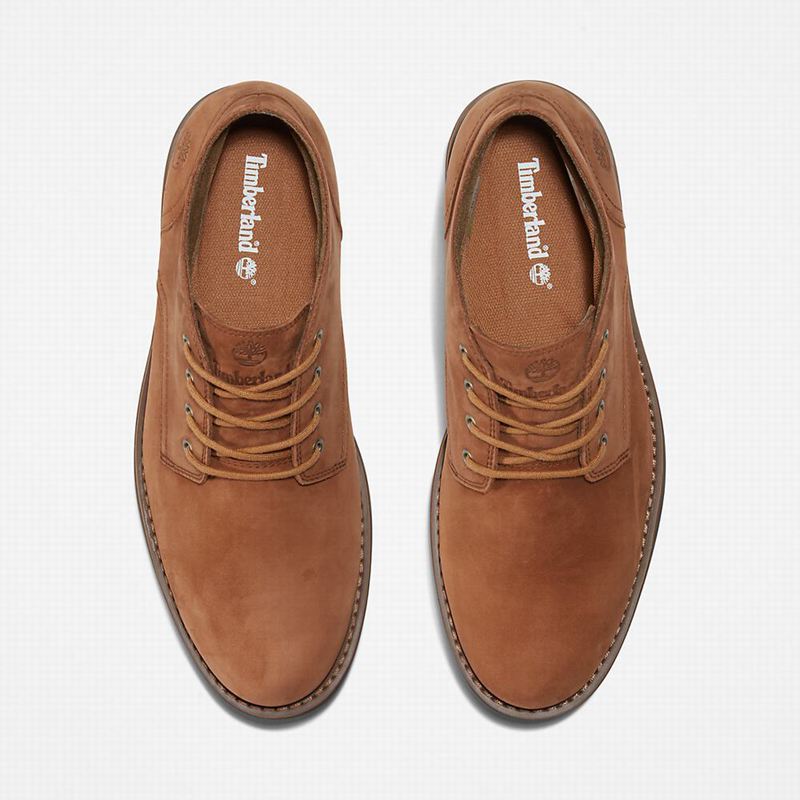 Timberland Alden Brook Waterproof Chukka Čizme Smeđe | 17203463