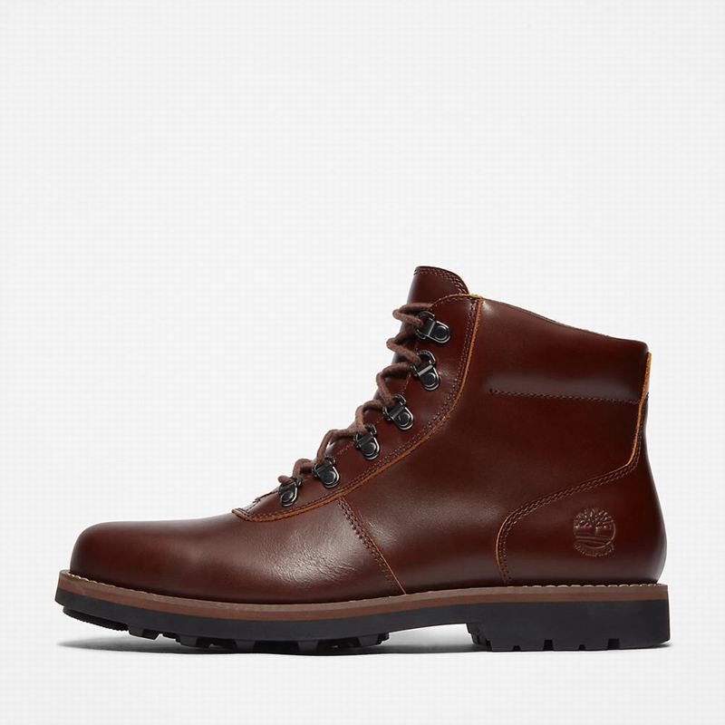 Timberland Alden Brook Čizme Smeđe | 16729754