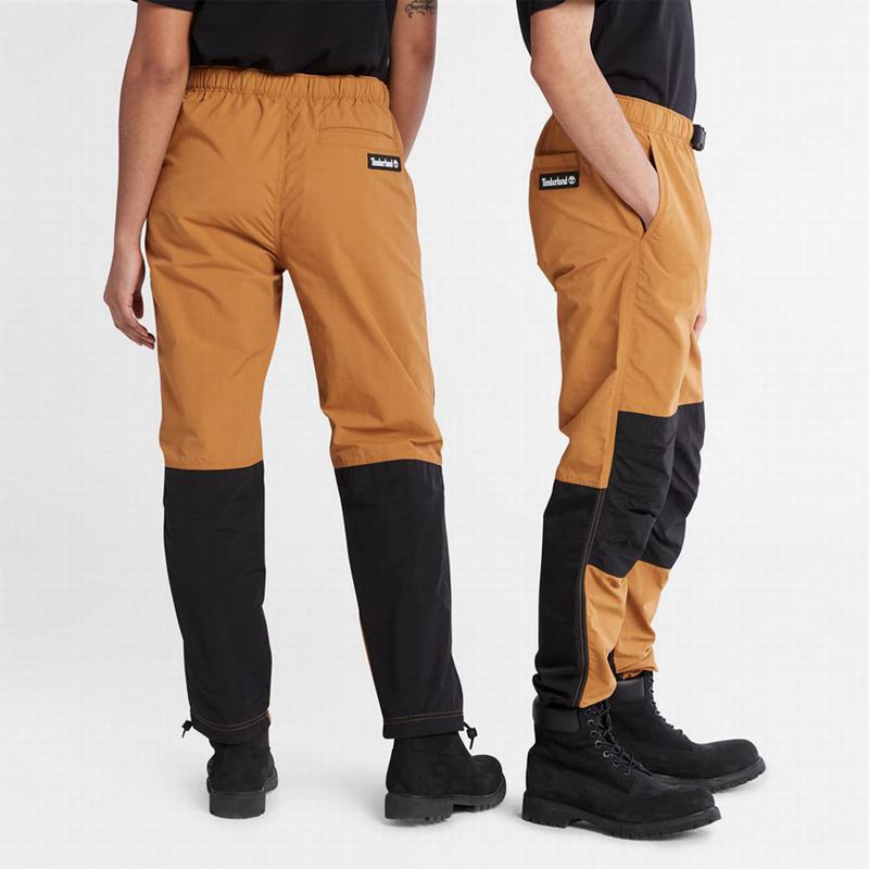 Timberland All Gender Water-Resistant Jogger Hlače Smeđe | 49000608