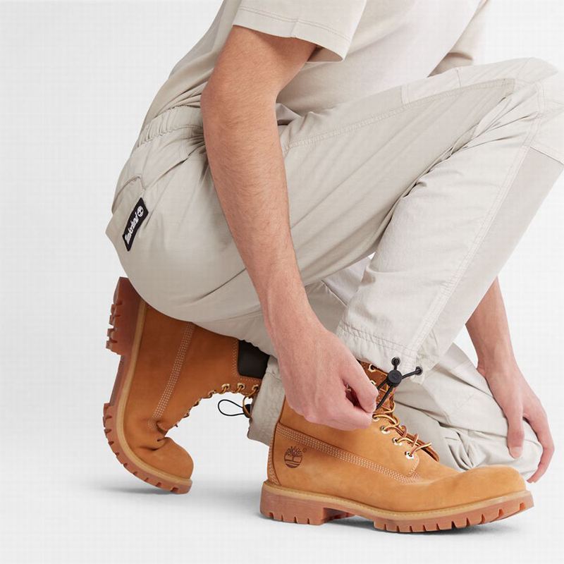 Timberland All Gender Water-Resistant Jogger Hlače Sive | 72725846