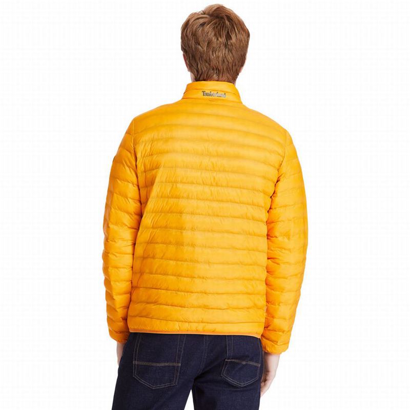 Timberland All Gender Year of the Tiger Bomber Jakna Žute | 8241727