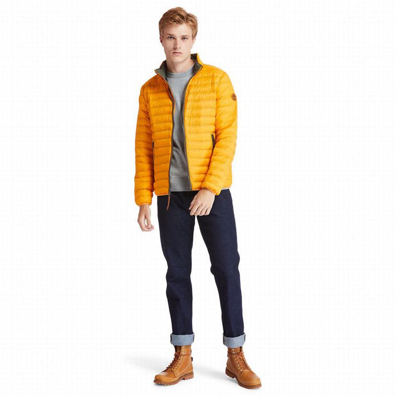 Timberland All Gender Year of the Tiger Bomber Jakna Žute | 8241727