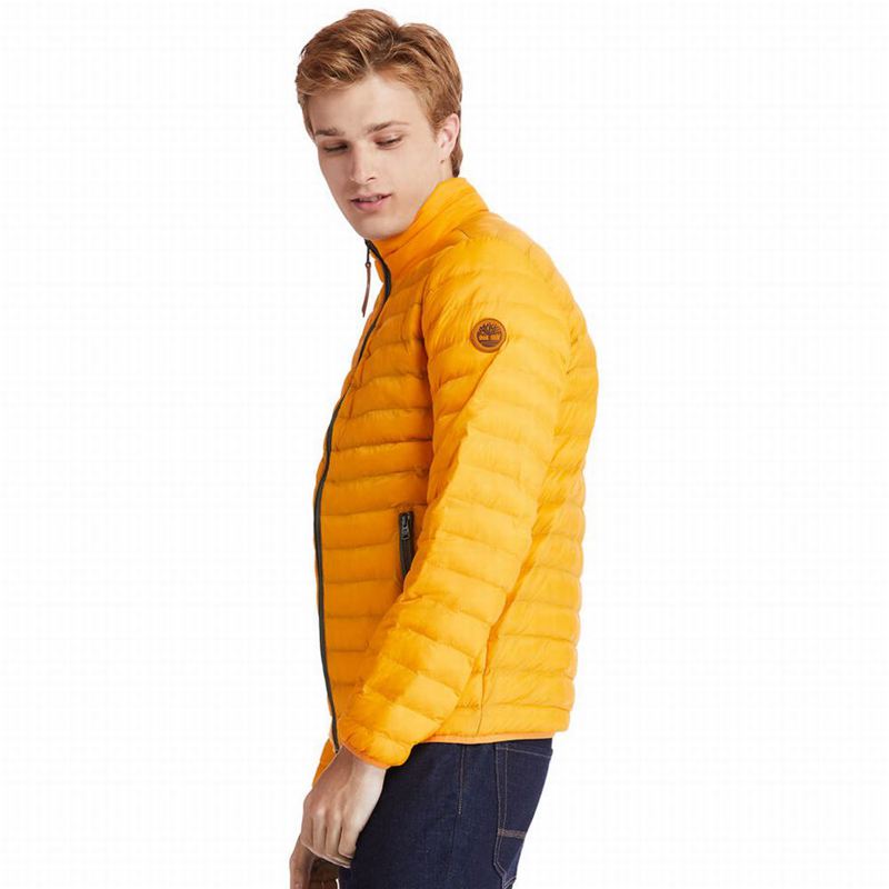 Timberland All Gender Year of the Tiger Bomber Jakna Žute | 8241727