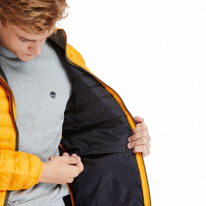 Timberland All Gender Year of the Tiger Bomber Jakna Žute | 8241727
