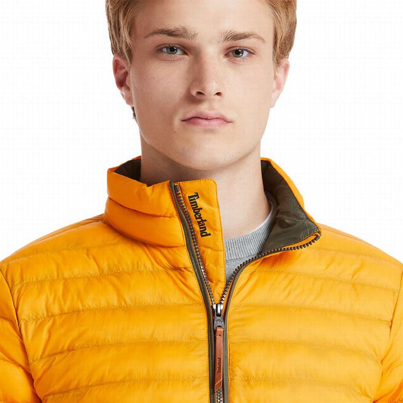 Timberland All Gender Year of the Tiger Bomber Jakna Žute | 8241727