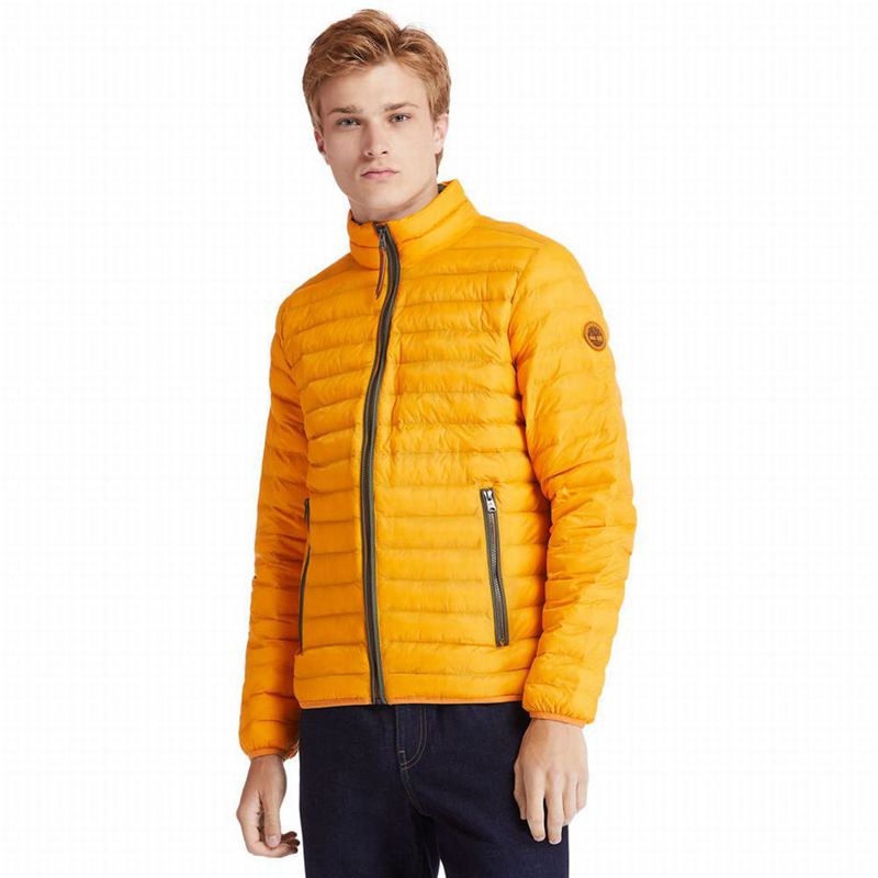 Timberland All Gender Year of the Tiger Bomber Jakna Žute | 8241727