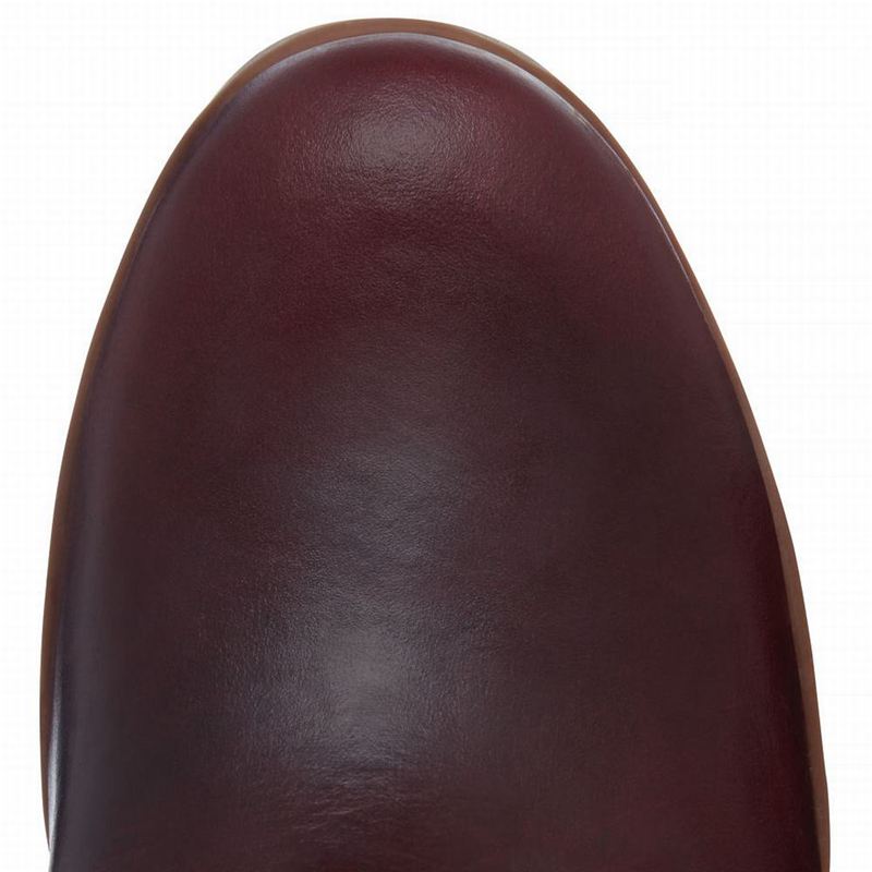 Timberland Allington 6 Inch Čizme Bordo | 55319637