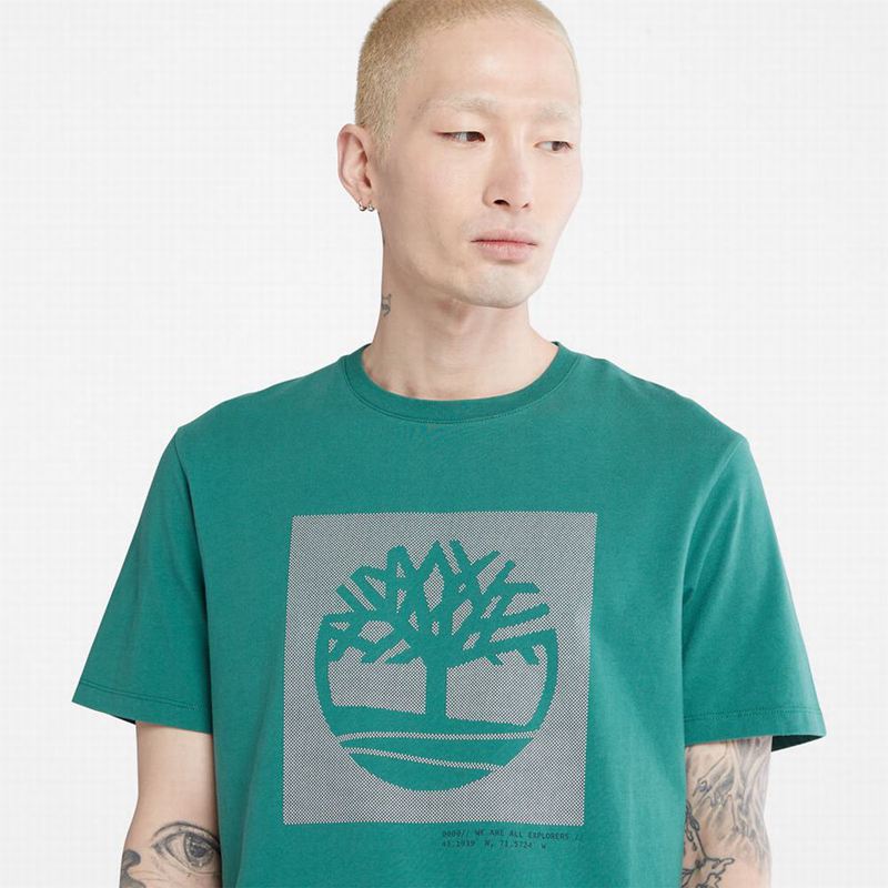 Timberland Anti-Odour Supima Cotton Majice Tirkizne | 98228350