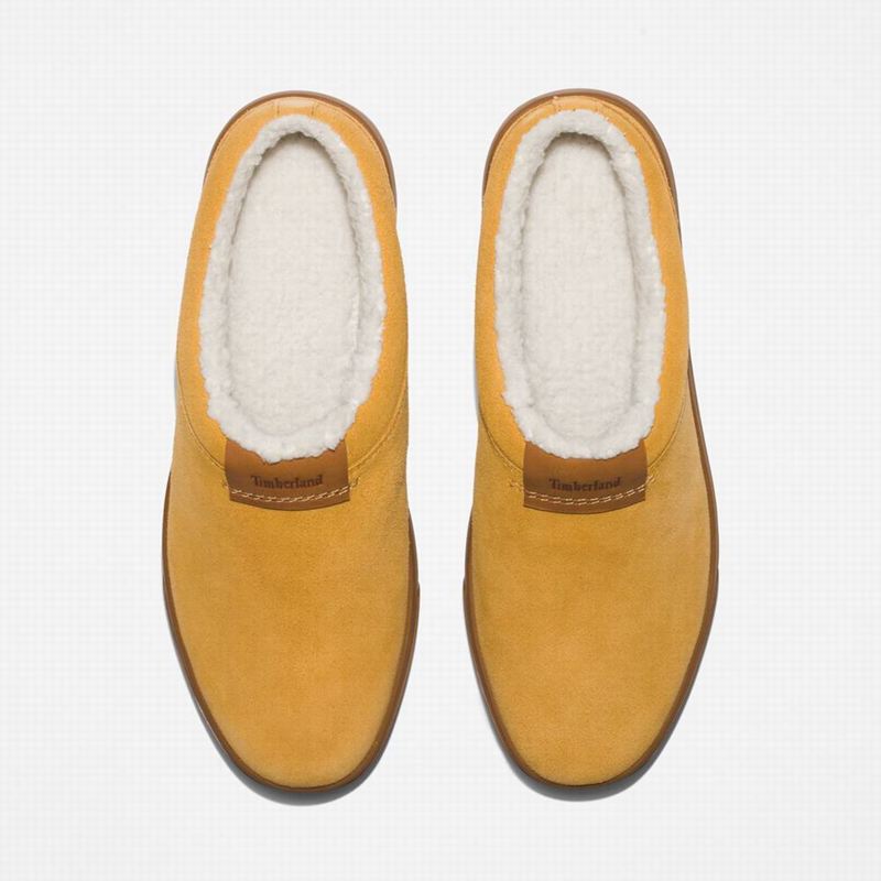 Timberland Ashwood Park Koža Papuče Smeđe | 72302912
