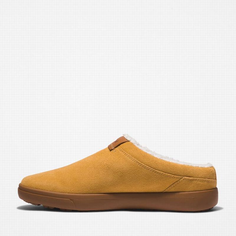 Timberland Ashwood Park Koža Papuče Smeđe | 72302912