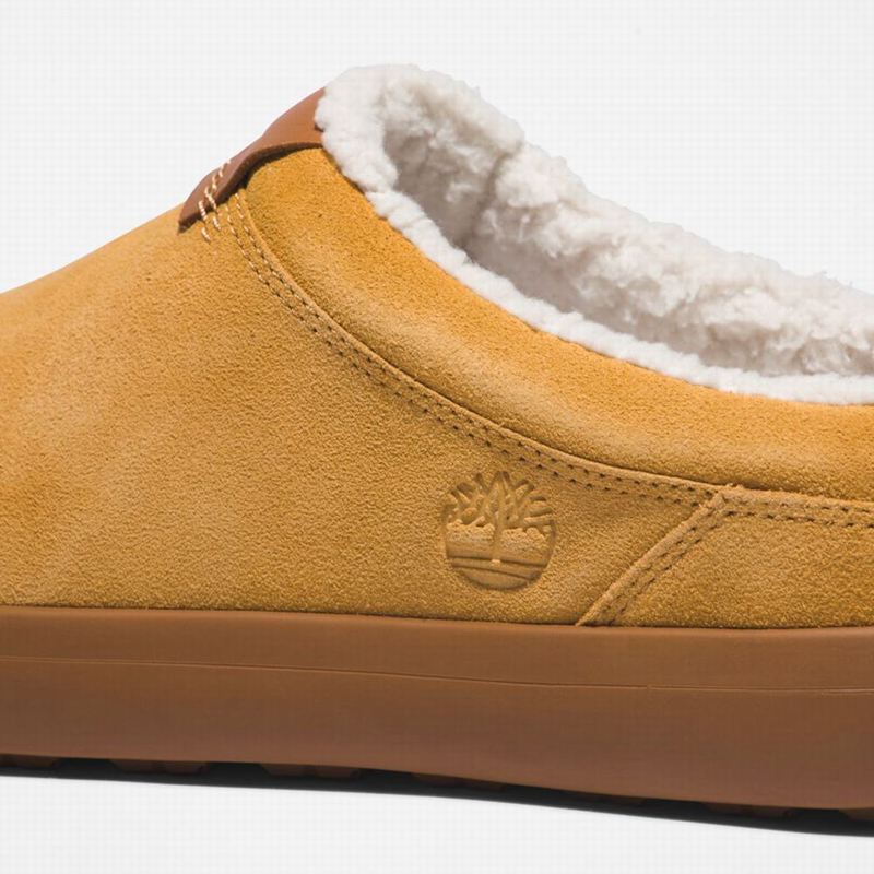 Timberland Ashwood Park Koža Papuče Smeđe | 72302912