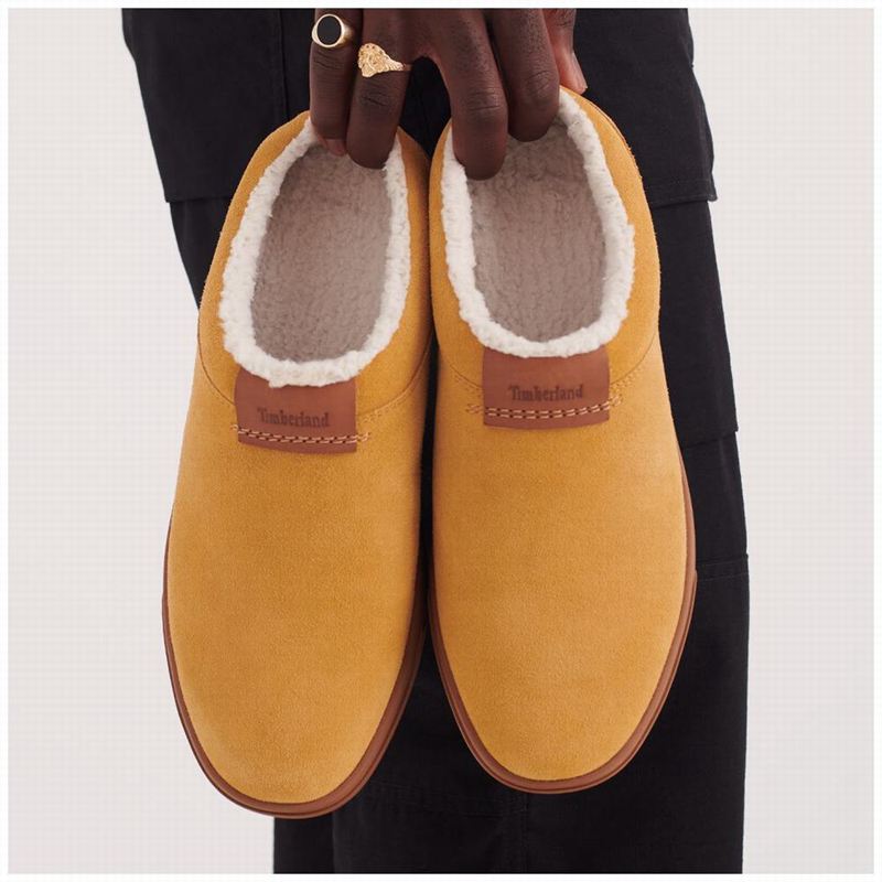 Timberland Ashwood Park Koža Papuče Smeđe | 72302912