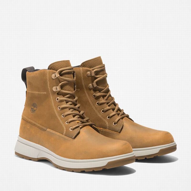 Timberland Atwells Ave Waterproof Vodootporne Čizme Smeđe | 38757360