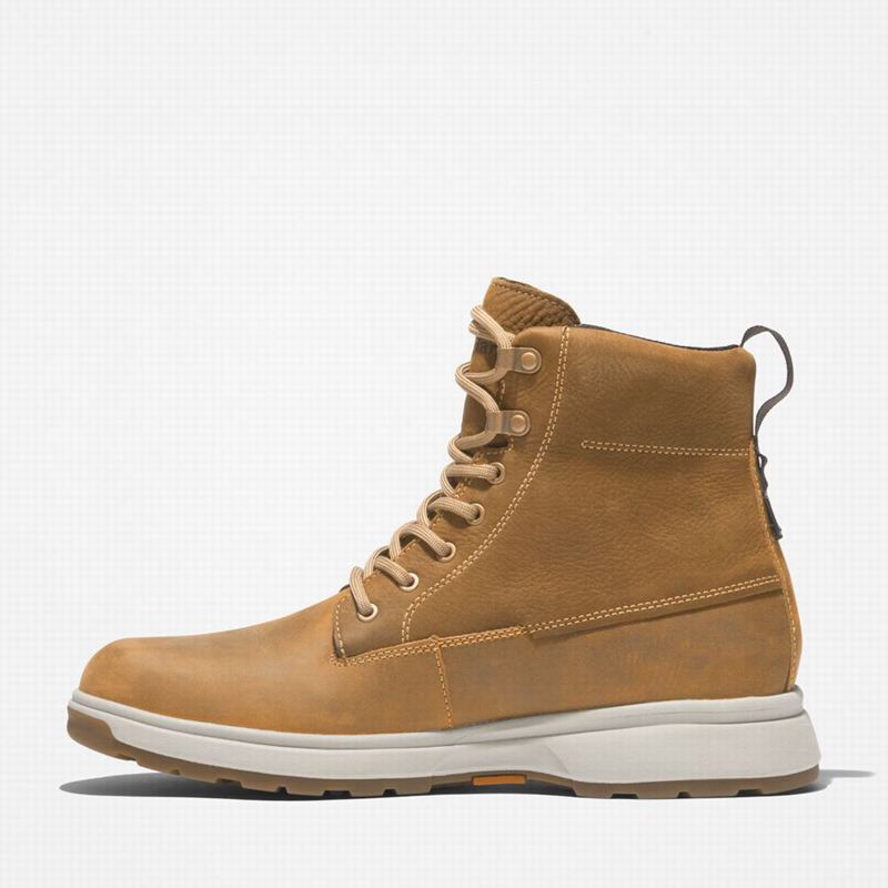 Timberland Atwells Ave Waterproof Vodootporne Čizme Smeđe | 38757360