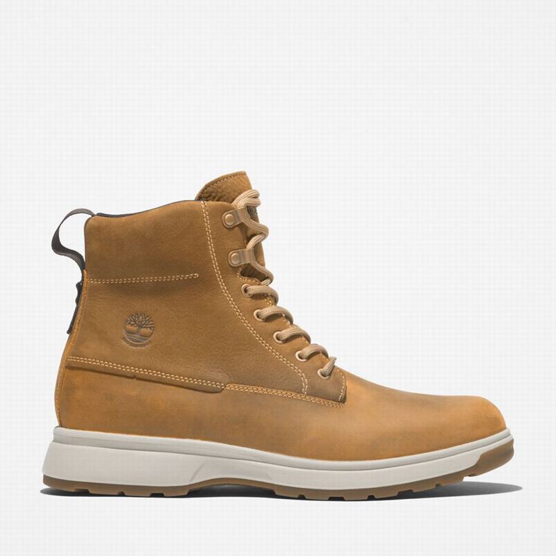 Timberland Atwells Ave Waterproof Vodootporne Čizme Smeđe | 38757360