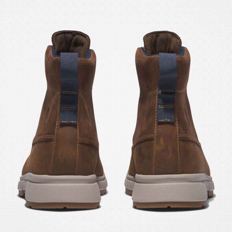 Timberland Atwells Ave Waterproof Vodootporne Čizme Smeđe | 96290820