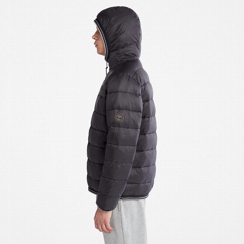Timberland Axis Peak Donje Jakne Crne | 75781645