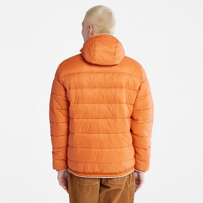 Timberland Axis Peak Water-Repellent Jakne Narančaste | 6443341