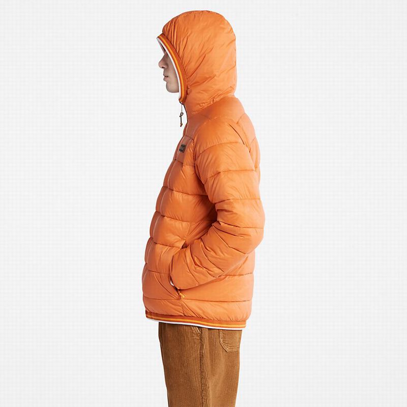 Timberland Axis Peak Water-Repellent Jakne Narančaste | 6443341