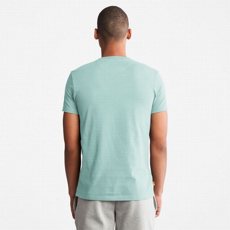 Timberland Back Graficke Logo Majice Svijetlo Plave | 41454965