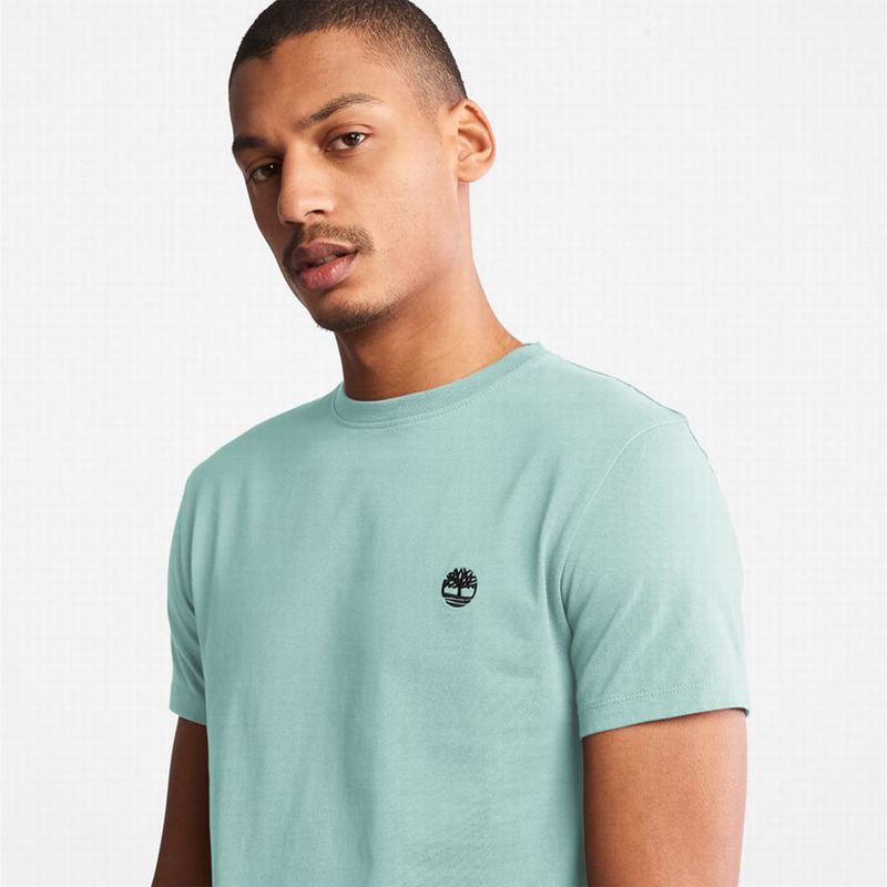 Timberland Back Graficke Logo Majice Svijetlo Plave | 41454965