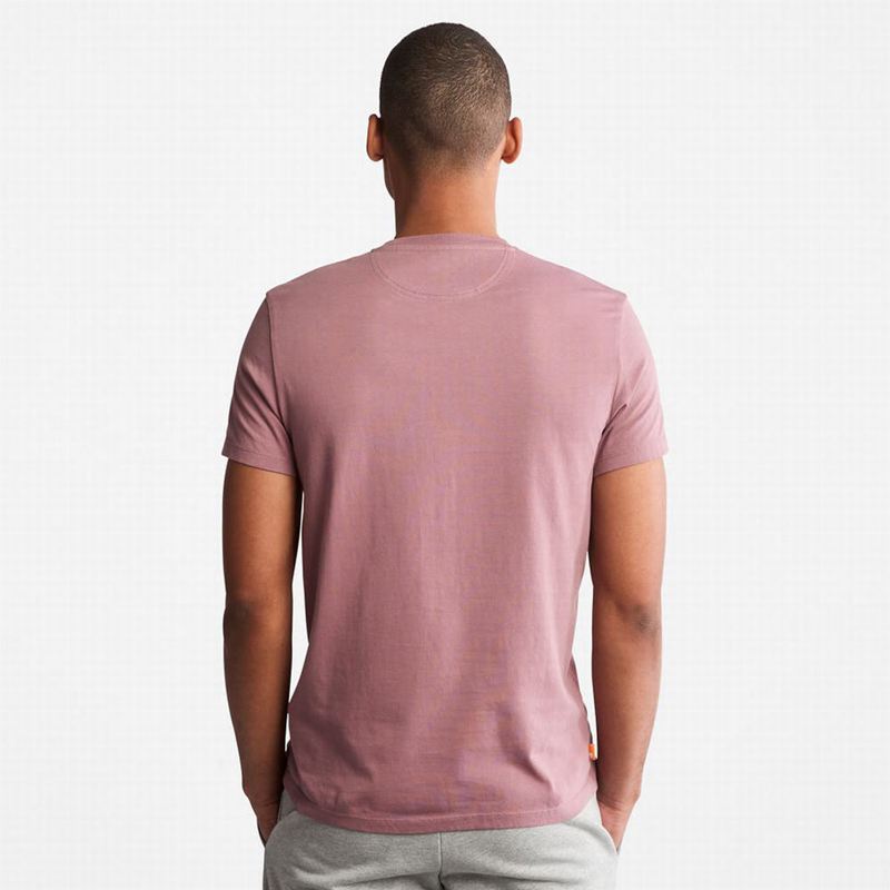Timberland Back-Graficke Majice Roze | 90856150