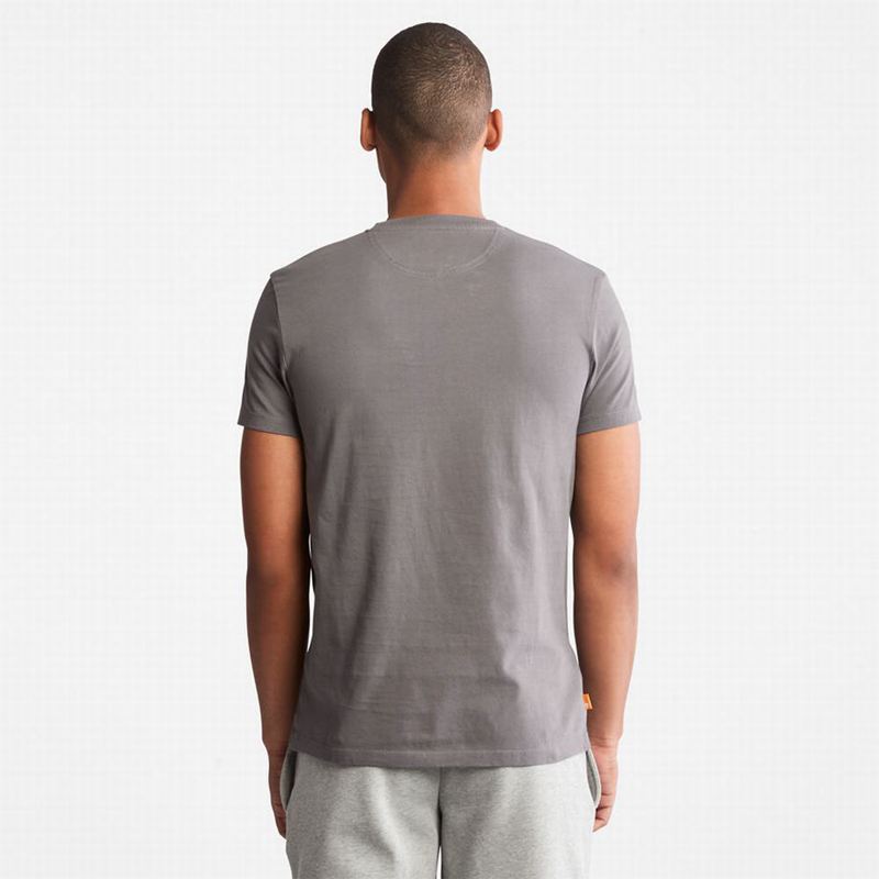 Timberland Back-Graficke Majice Sive | 73944015