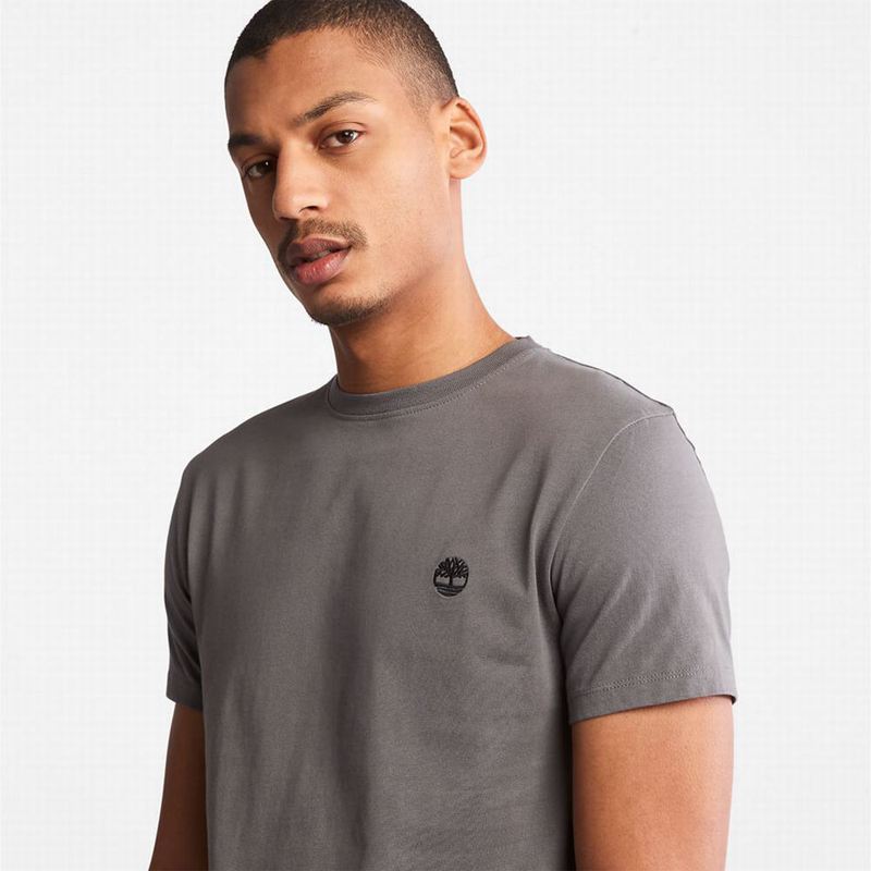 Timberland Back-Graficke Majice Sive | 73944015