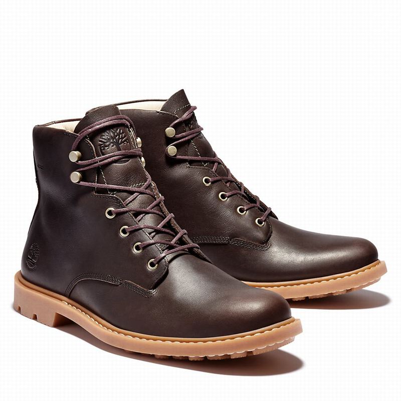 Timberland Belanger EK+ 6 Inch Čizme Smeđe | 12625243