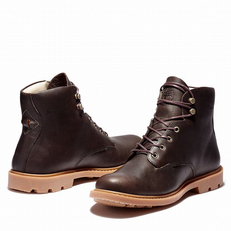 Timberland Belanger EK+ 6 Inch Čizme Smeđe | 12625243