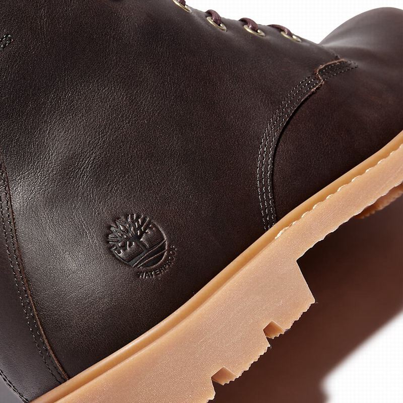 Timberland Belanger EK+ 6 Inch Čizme Smeđe | 12625243