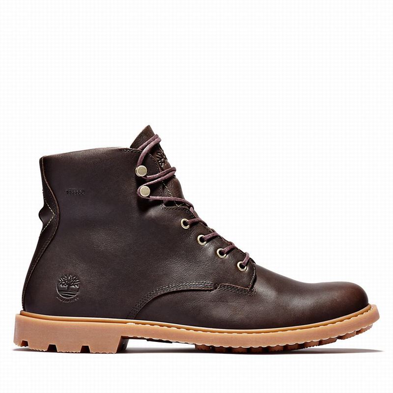 Timberland Belanger EK+ 6 Inch Čizme Smeđe | 12625243