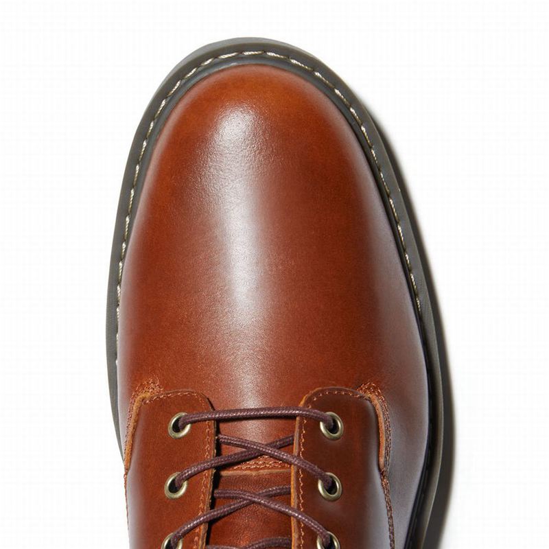 Timberland Belanger EK+ 6 Inch Čizme Smeđe | 73355913