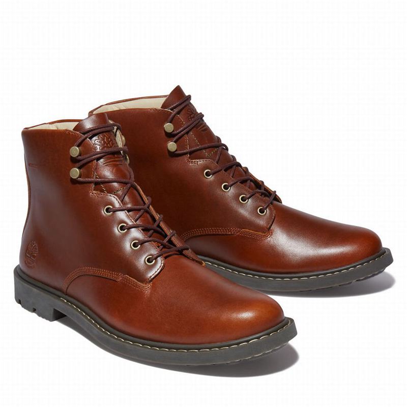 Timberland Belanger EK+ 6 Inch Čizme Smeđe | 73355913