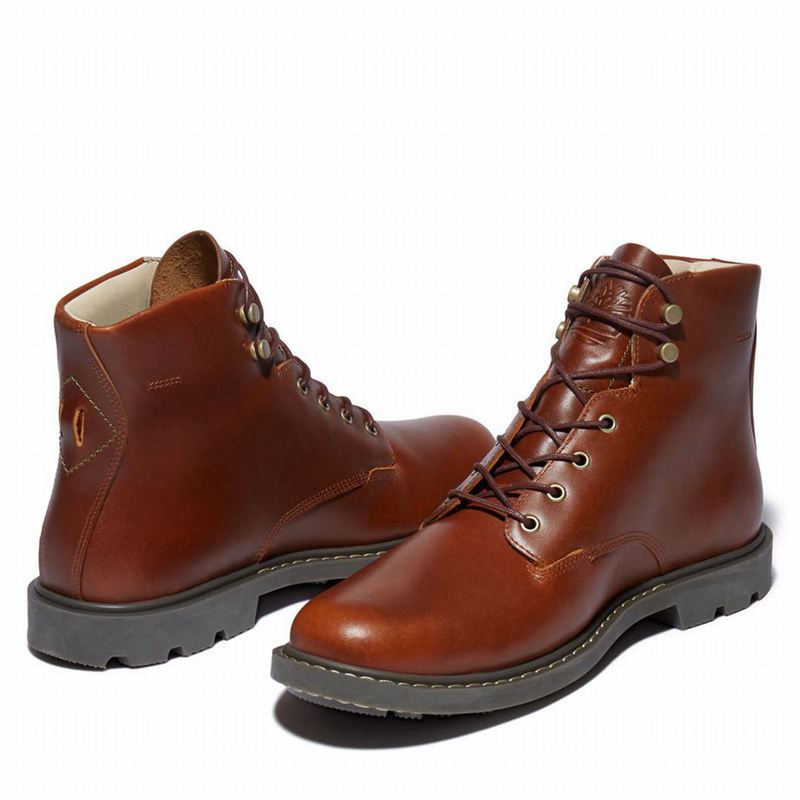 Timberland Belanger EK+ 6 Inch Čizme Smeđe | 73355913