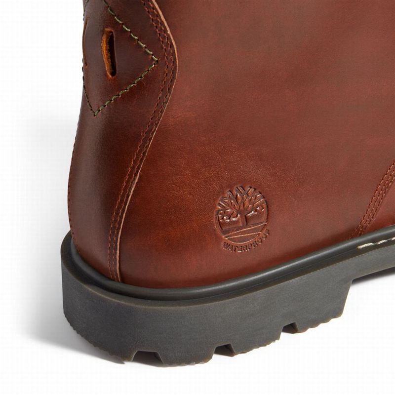 Timberland Belanger EK+ 6 Inch Čizme Smeđe | 73355913