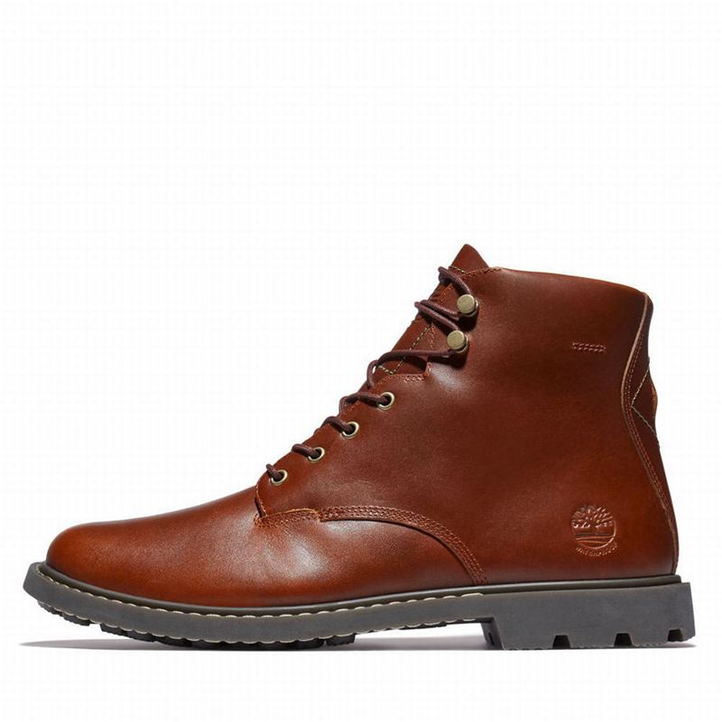 Timberland Belanger EK+ 6 Inch Čizme Smeđe | 73355913