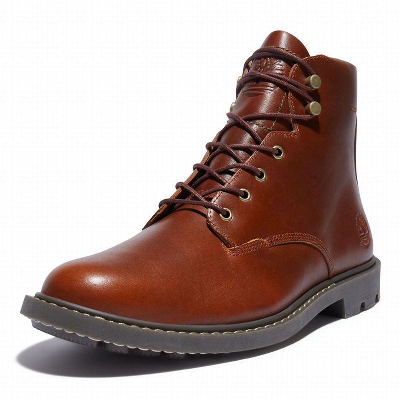 Timberland Belanger EK+ 6 Inch Čizme Smeđe | 73355913