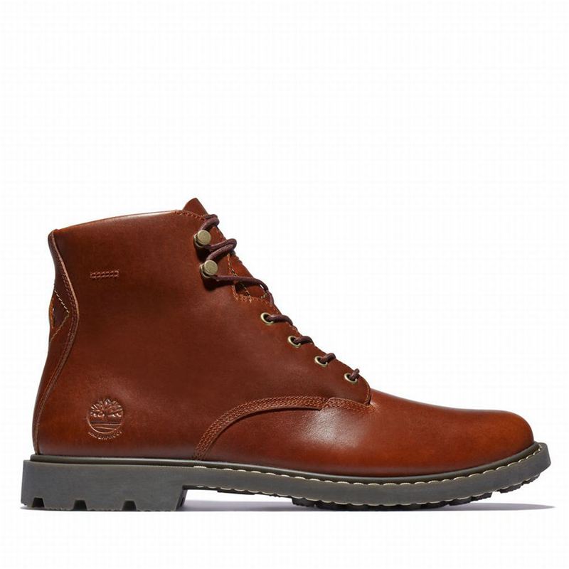 Timberland Belanger EK+ 6 Inch Čizme Smeđe | 73355913