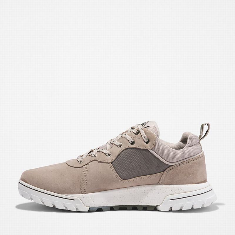 Timberland Boulder Trail Tenisice Bež | 38113448