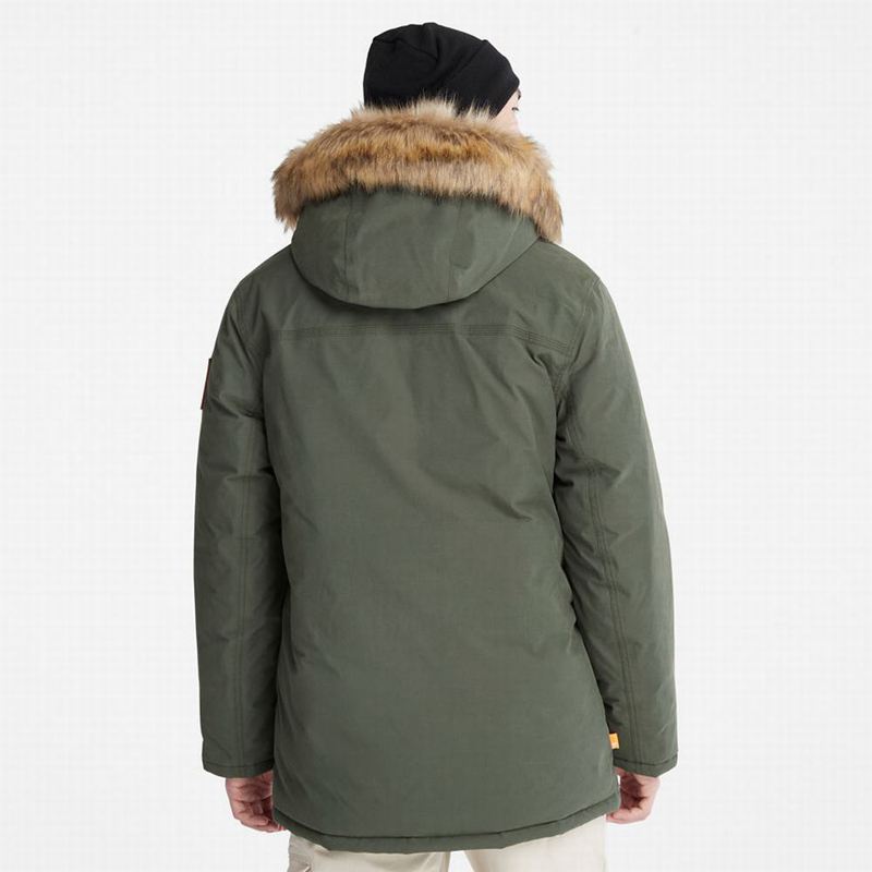 Timberland Boundary Peak Warm Parka Maslinasto Zelene | 92237204