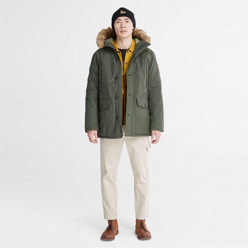 Timberland Boundary Peak Warm Parka Maslinasto Zelene | 92237204