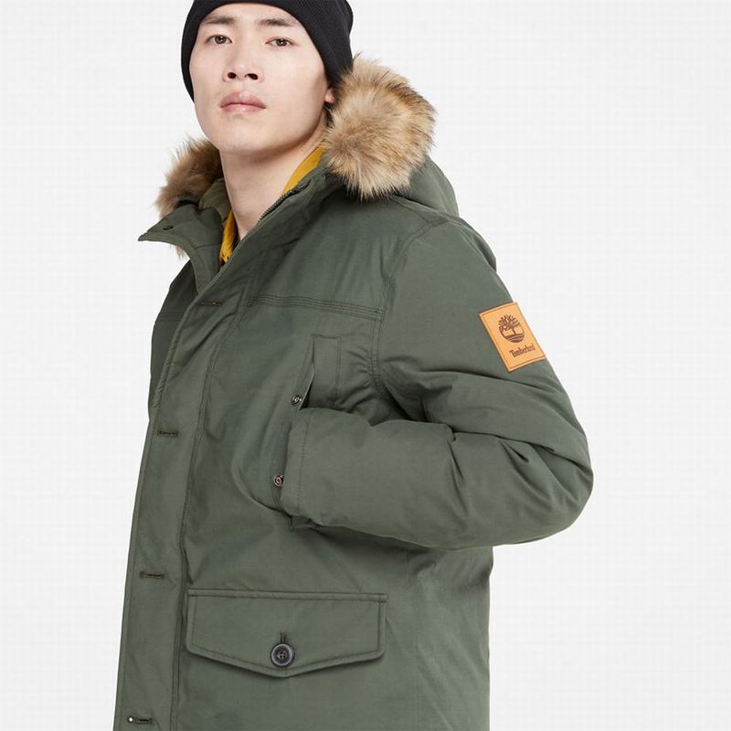 Timberland Boundary Peak Warm Parka Maslinasto Zelene | 92237204
