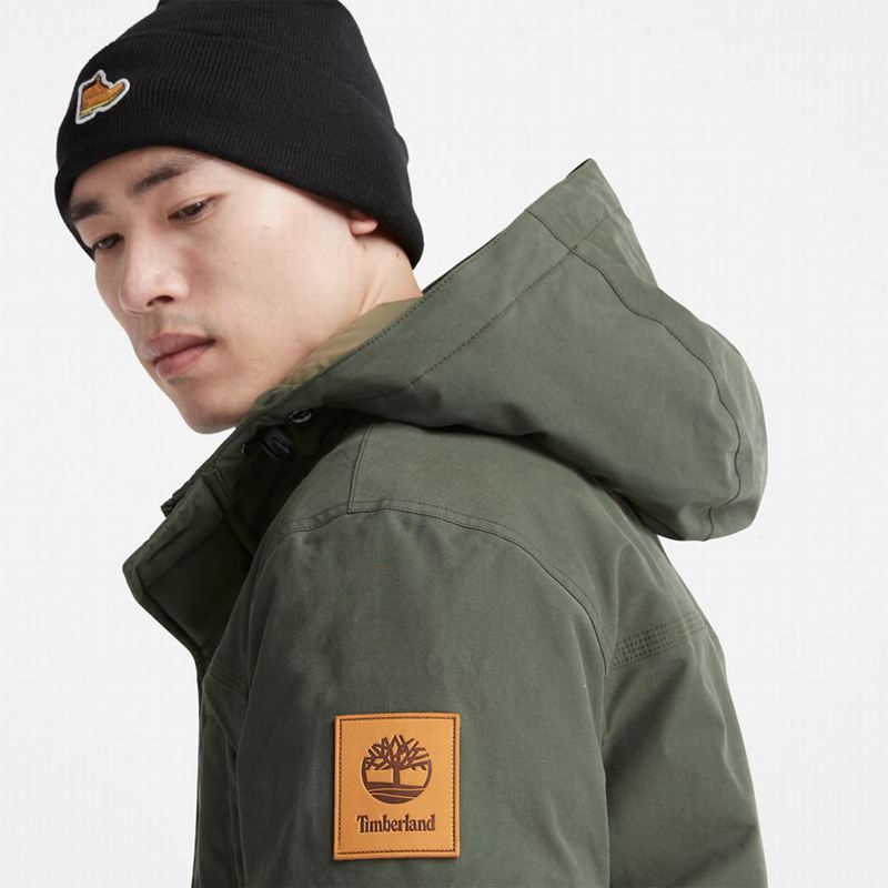 Timberland Boundary Peak Warm Parka Maslinasto Zelene | 92237204