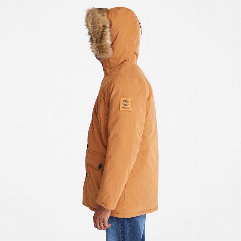 Timberland Boundary Peak Warm Parka Žute | 95346016