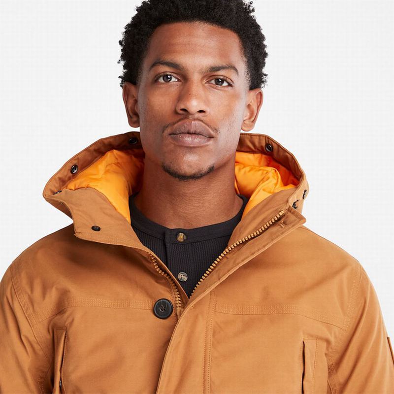 Timberland Boundary Peak Warm Parka Žute | 95346016