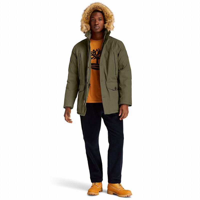 Timberland Boundary Peak Waterproof Insulated Parka Maslinasto Zelene | 51569773
