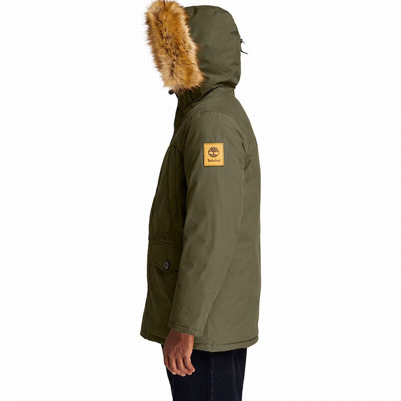 Timberland Boundary Peak Waterproof Insulated Parka Maslinasto Zelene | 51569773