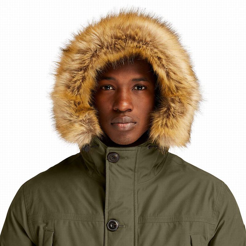 Timberland Boundary Peak Waterproof Insulated Parka Maslinasto Zelene | 51569773